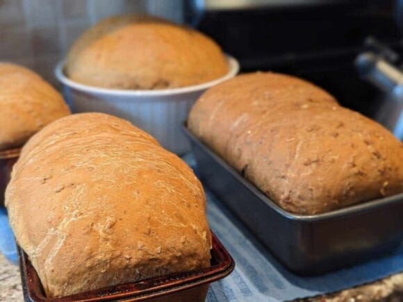 Maritime brown bread and baked beans